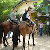 P1060181 (Copy).JPG