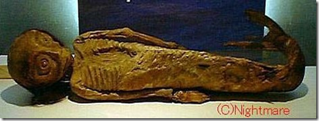 Sirena momificada Sirena momificada