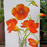 vegie_artworks_10 - 058.jpg