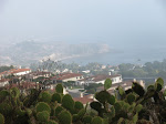 IMG_7984.JPG