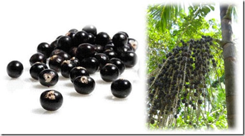 acai-berry-and-tree