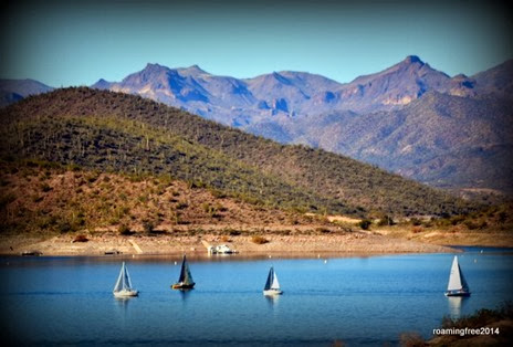 Sailboats on the lake