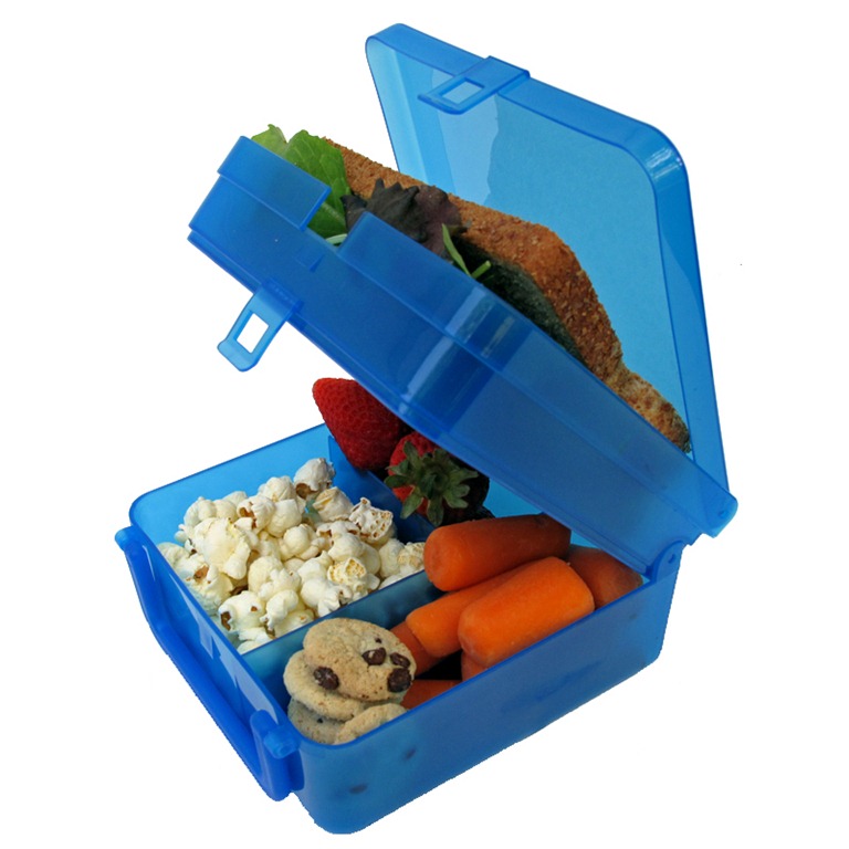 [eco-friendly_green_waste-free_lunchbox-4%255B3%255D.jpg]