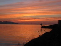 IMG_6764 IMG_6764