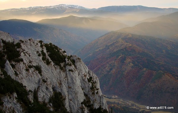 cioranga ramura de sus-43.JPG