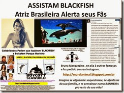 ASSISTAM BLACKFISH Marquezine_thumb[1]