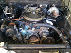 2010-10-31 14.32.57.jpg