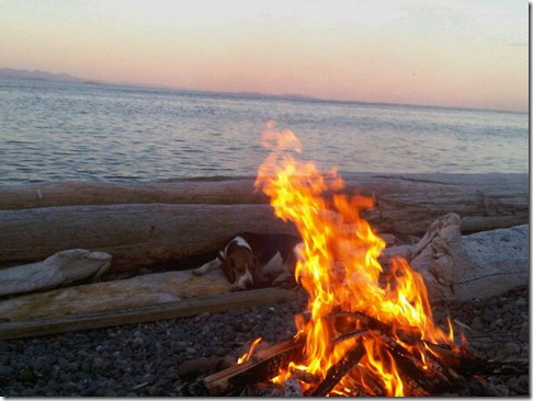 beach fire