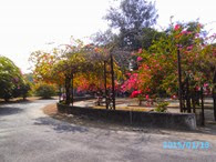 IMG_1530 IMG_1530