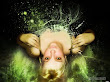 Green Witch