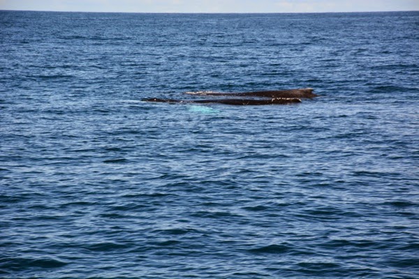 DSC_3257.JPG DSC 3257