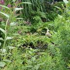 20100815_055_small.JPG