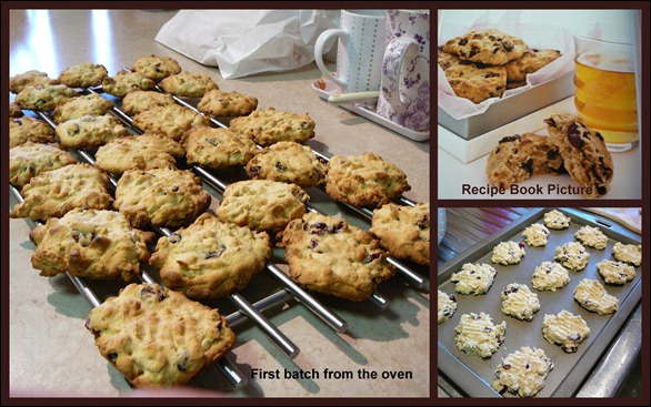2011-09-26 biscuits