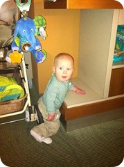 IMG_4945 IMG_4945