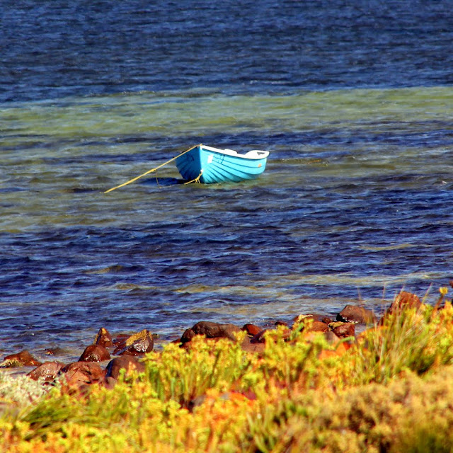 IMG_7573.JPG
