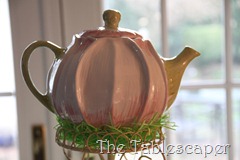 Senior Tea 003