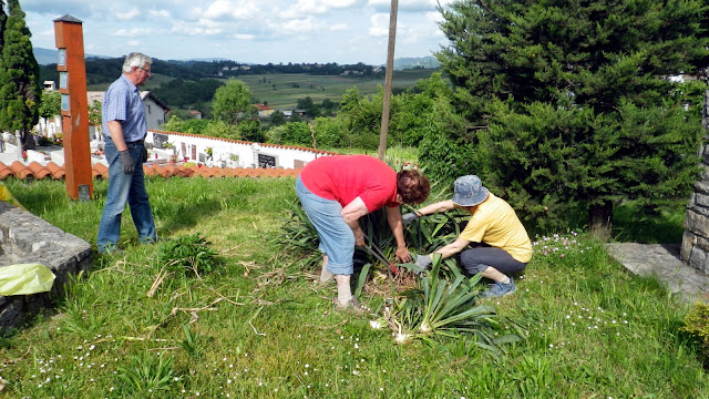 2014-05-Cistilna-akcija-Osek-05.JPG