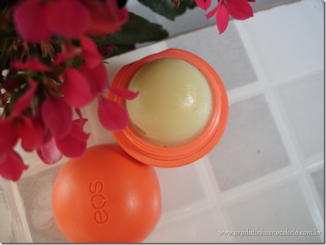 Lip Balm Orgânico