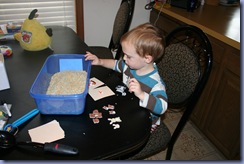 IMG_5940 IMG_5940