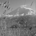 IMG_4491.jpg