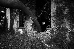 Nettleham-Hall-24