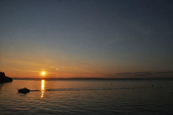 DSC_3817.JPG DSC_3817.JPG