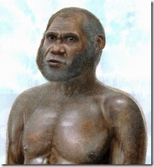 hominid