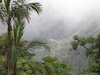 Sprachaufenthalt Monteverde