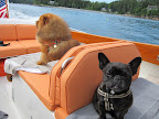 I mean, has he not heard of the famous Jacques Cousteau?  We French aren't strangers to maritime escapades, you know.  Plus, I've been boating with Martha for a much longer time!