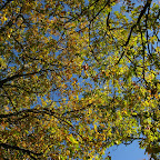 IMG_2484.jpg