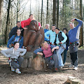 User - Go Ape Feb 2012
