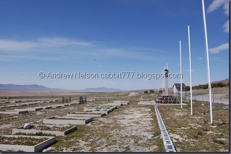 DSC_0546 DSC_0546