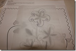 IMG_1737 IMG_1737