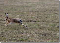 IMG_0724 IMG_0724