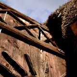_DSC9960.JPG