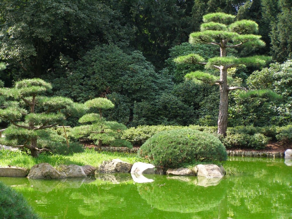 [Beautiful-Japanese-Garden-35.jpg]