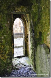 Connemara. Headford. Ruinas del convento Ross Errilly - DSC_0342