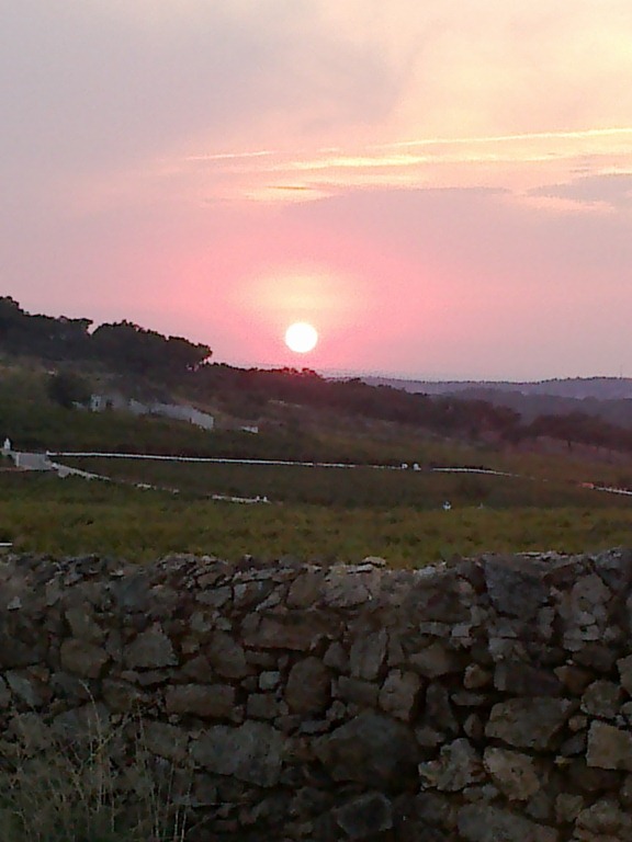 [Sol2%255B10%255D.jpg]