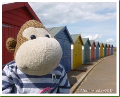 beach Huts at Dawlish Warren