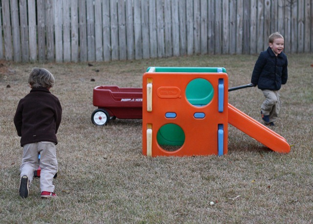 IMG_4366crop IMG_4366crop