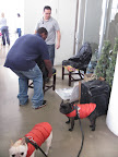 OK, enough distractions!  Guys, please be careful with those chairs!  They need to be perfect for Kevin!  And I mean PERFECT!