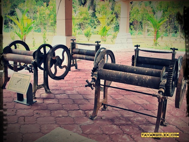 [IMG_63563.jpg]