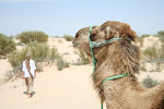 Sahara Tunisia_2009.04.06 373.JPG