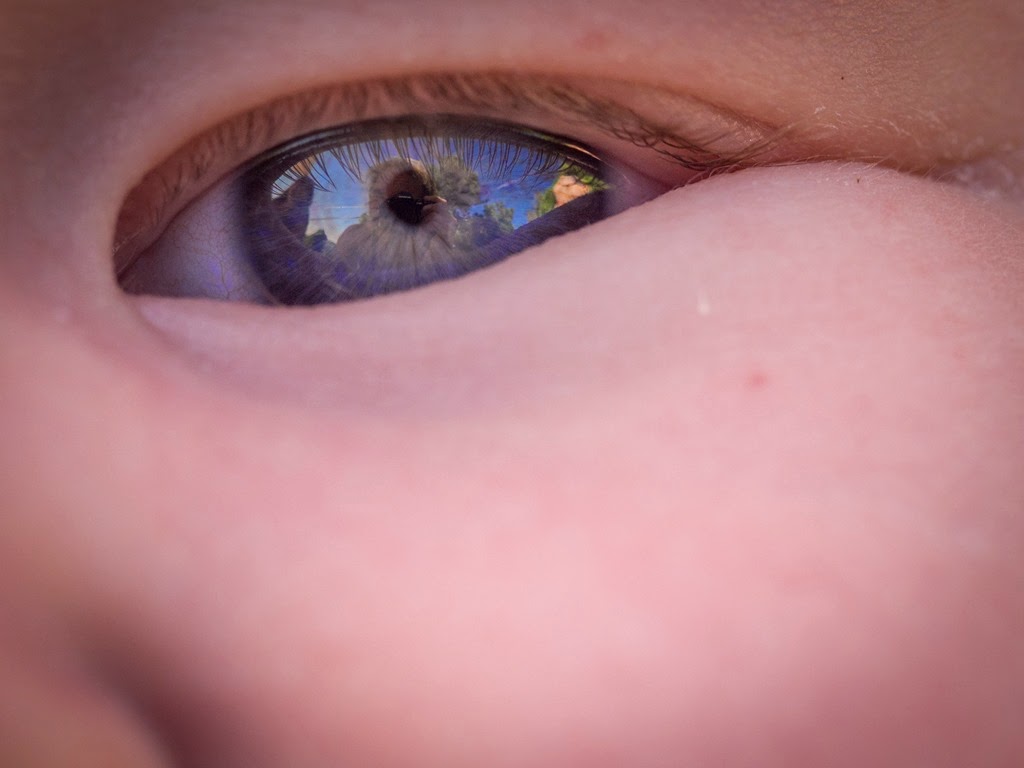 [20140601-1047%255B6%255D.jpg]