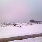 IMG_1065.jpg