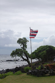 DSC_0412.jpg