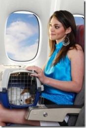 levar um cachorro no avião