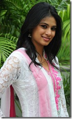 Telugu Actress Zara Shah Cute Photos in Salwar Kameez