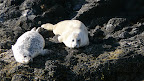 P1010003.JPG