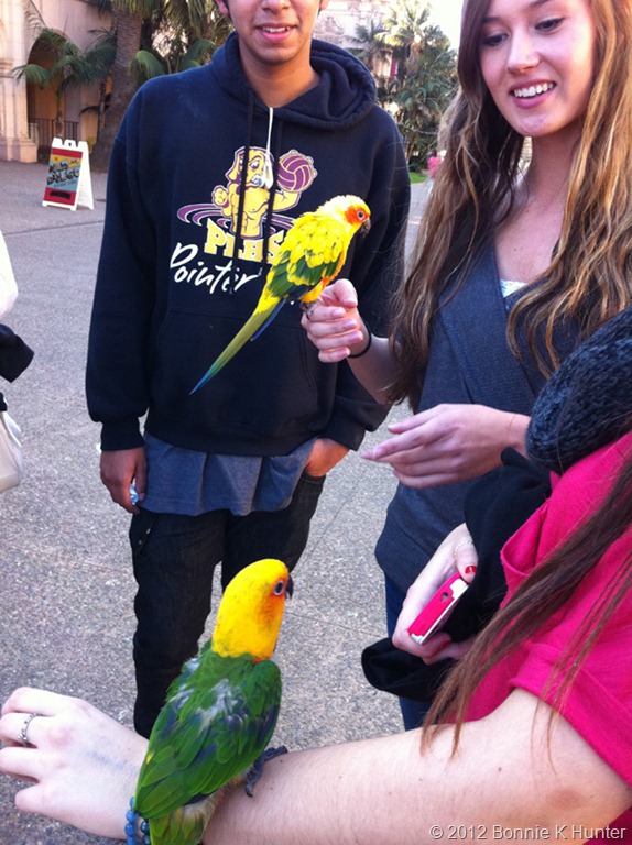 [socal_jan_2012%2520105%255B7%255D.jpg]